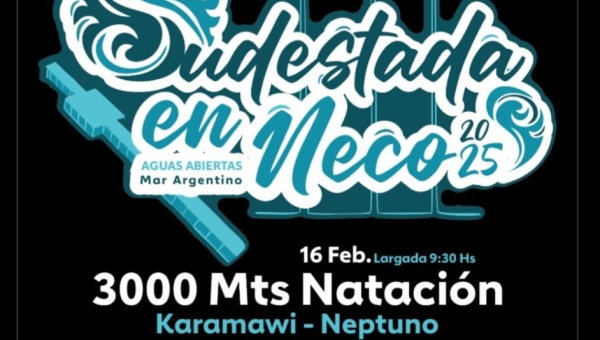 vuelve SUDESTADA EN NECO