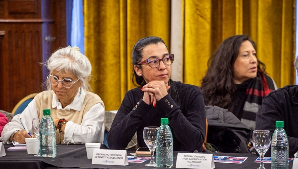 Andrea Cáceres participó de la 51º reunión plenaria de COPRETI en el Día Mundial contra el Trabajo Infantil